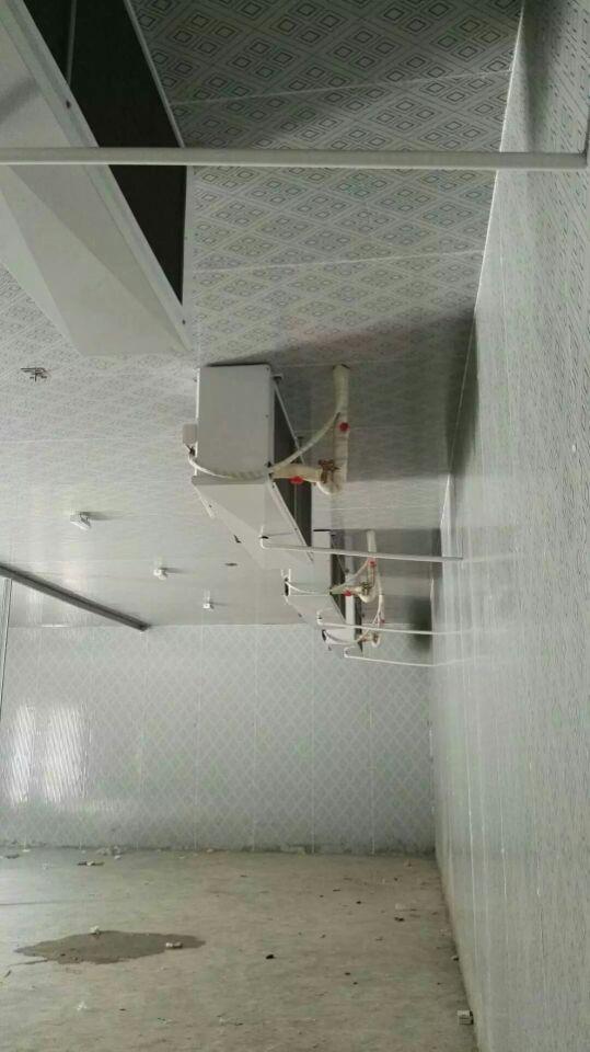 宜昌草莓视频黄版在线观看