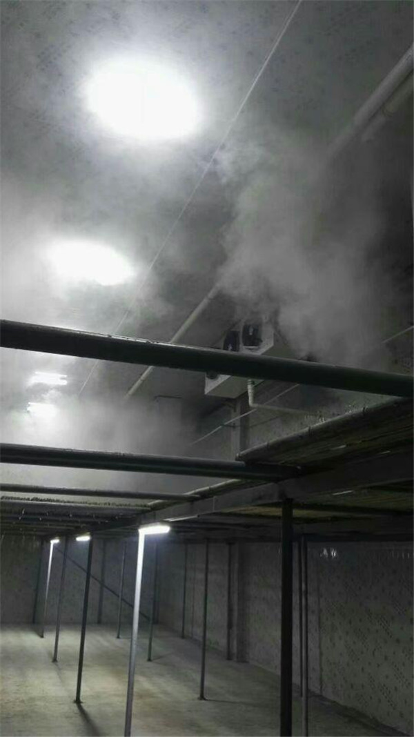 宜昌草莓视频黄版在线观看价格